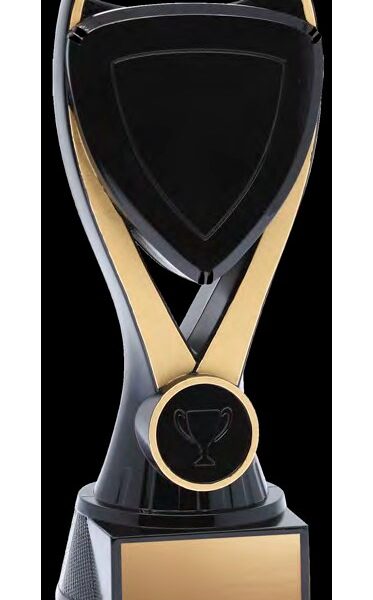 Academic / Graduation Award 58